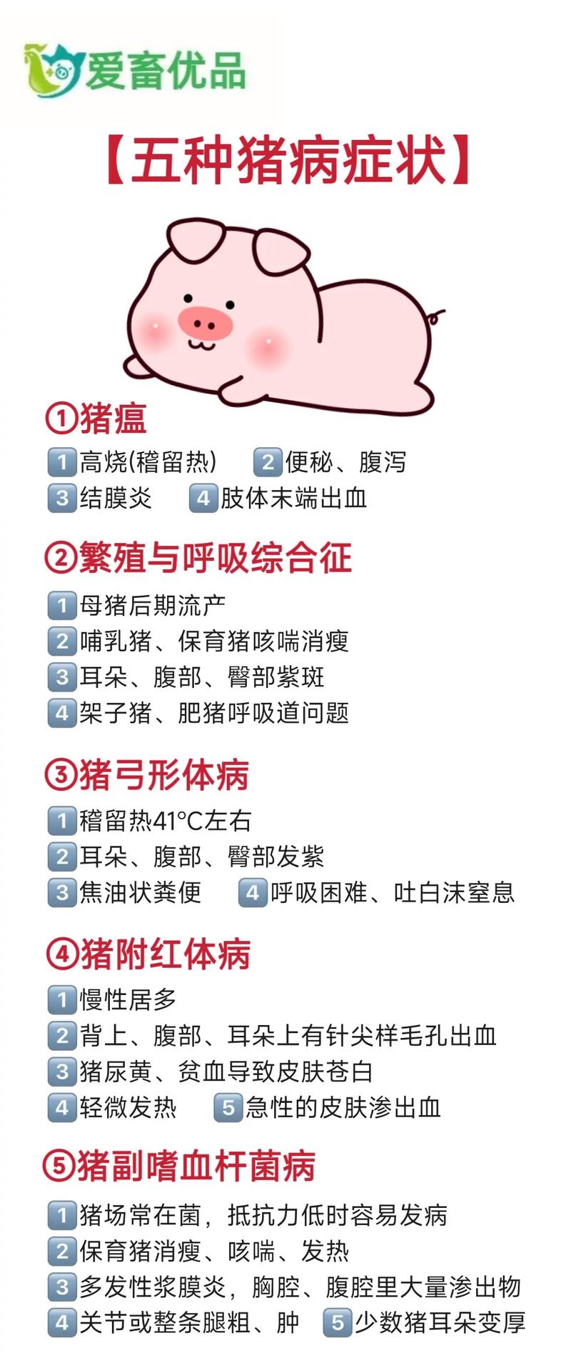 最新猪传染疫情指南