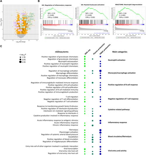 解读疫情防控中的 crucial 点