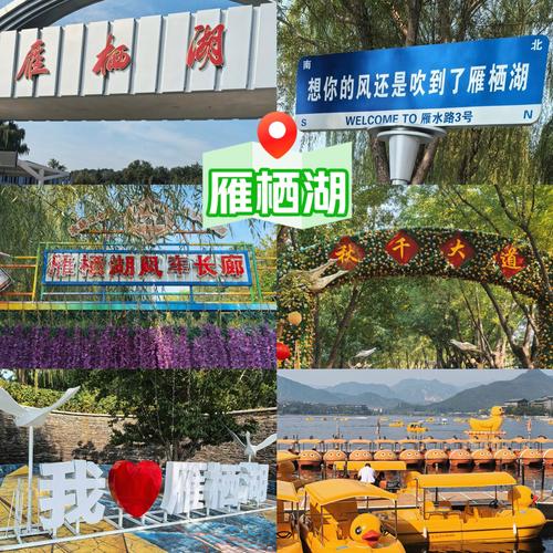 初见疫情，雁西湖镇最新消息