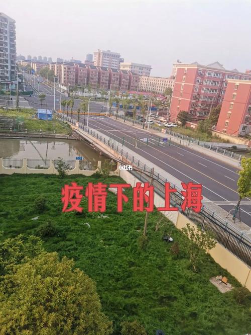 上海疫情最新消息，利津路的挑战与出路