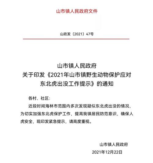 海林山市镇疫情最新动态，防控知识与应对策略指南