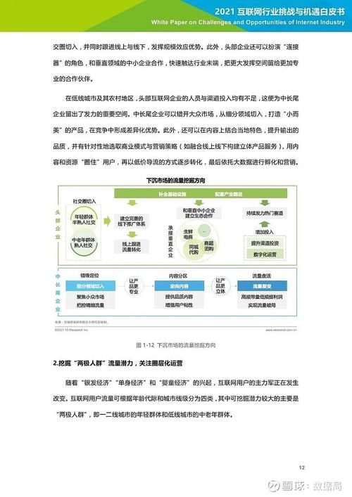 深圳网络行业协会，互联网时代新机遇与挑战的指南