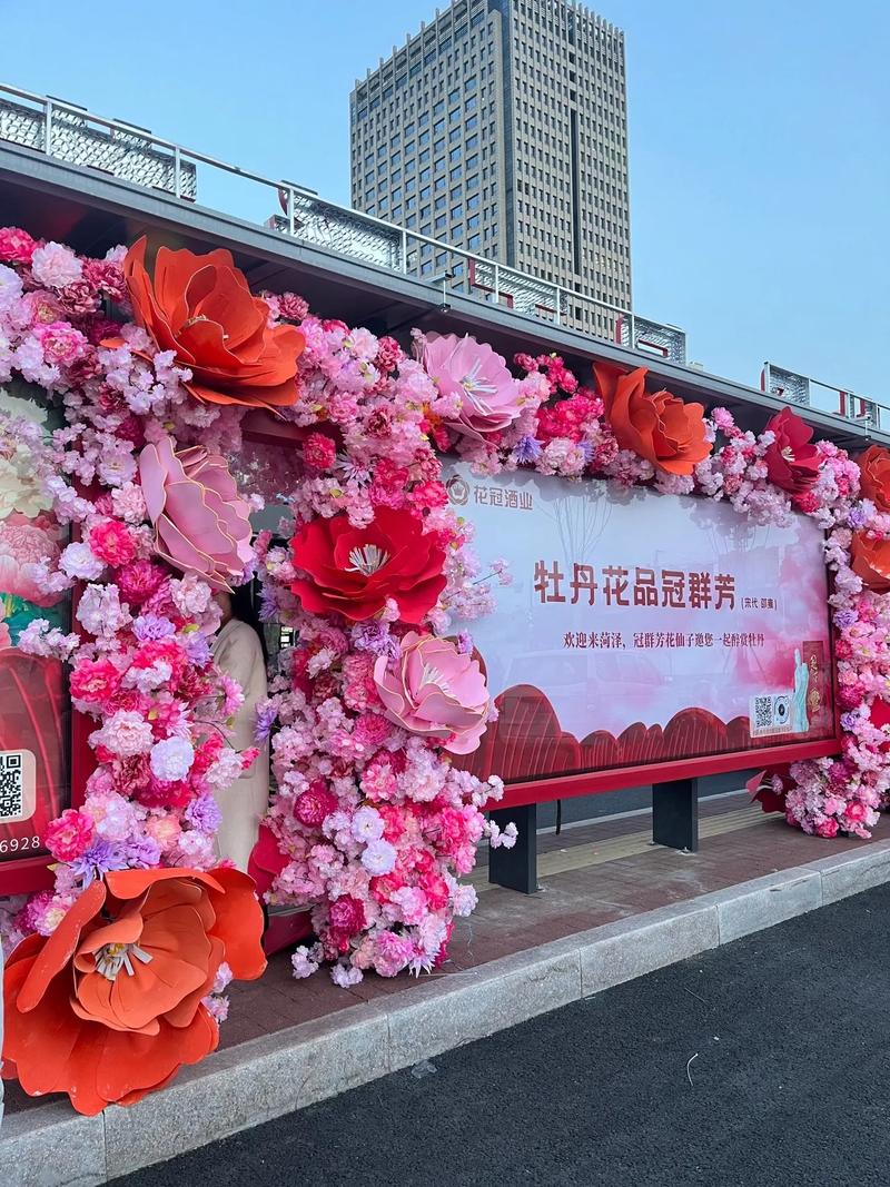 菏泽的营销之花，一场精心策划的网络营销之旅