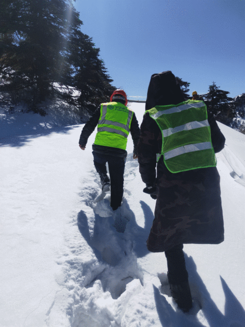 疫情防控必看 忻源区路村最新疫情动态