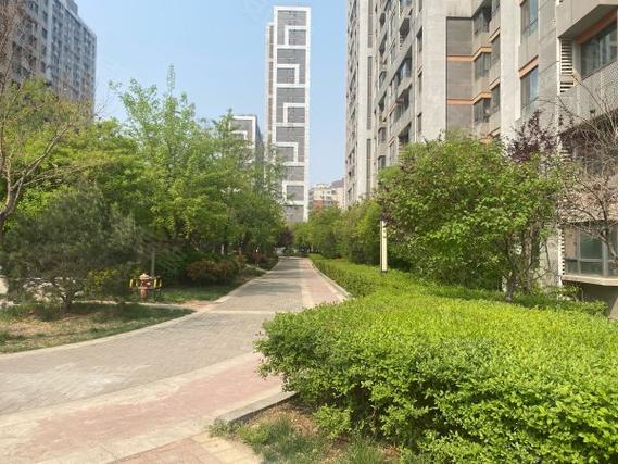 明湖白鹭郡疫情最新消息，防控措施、数据与未来展望