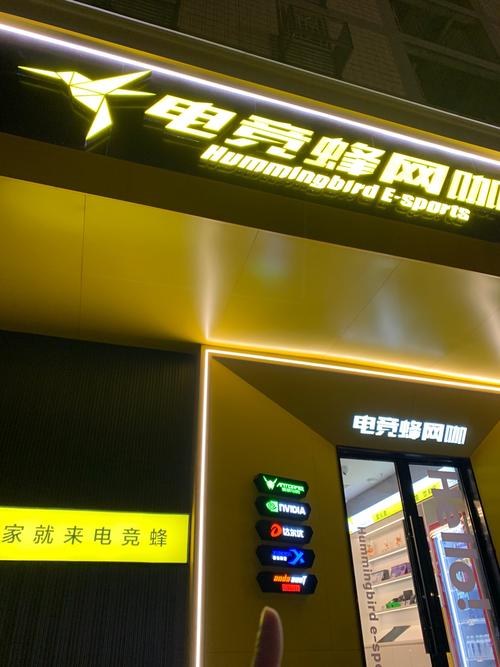 聊城网络公司推荐,性价比最高的选择