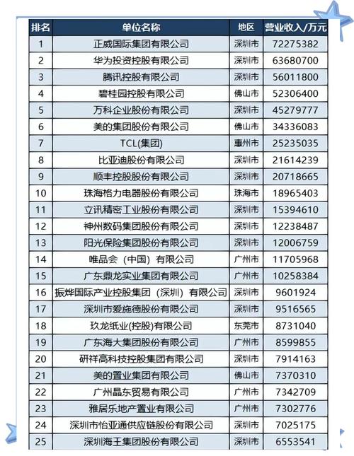 广州市网络公司排名