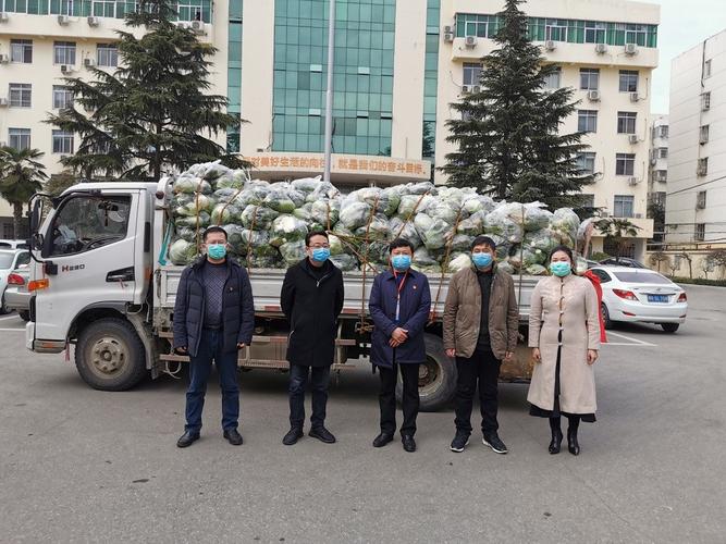 溧河疫情最新消息，疫情防控的最新动态