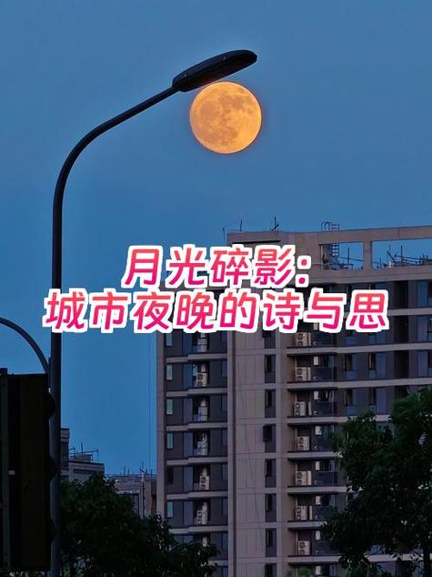 诗中的城市与建设
