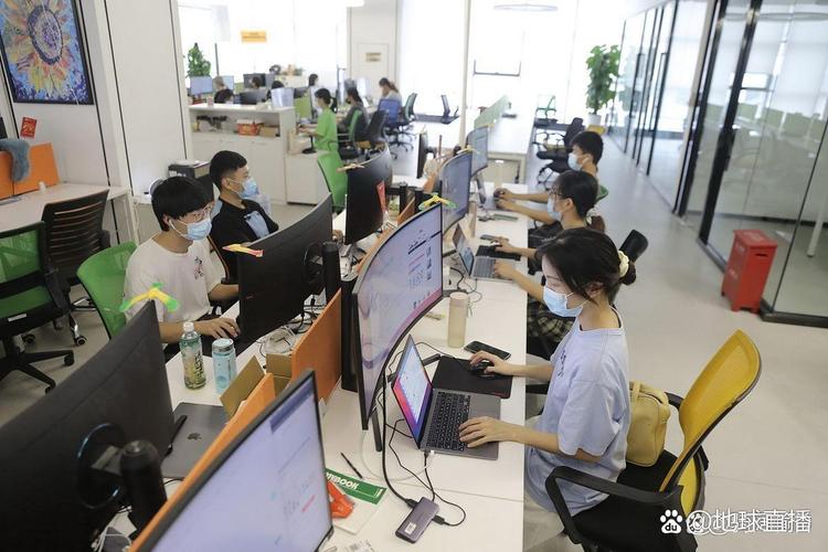 狼雨SEO网络工作室