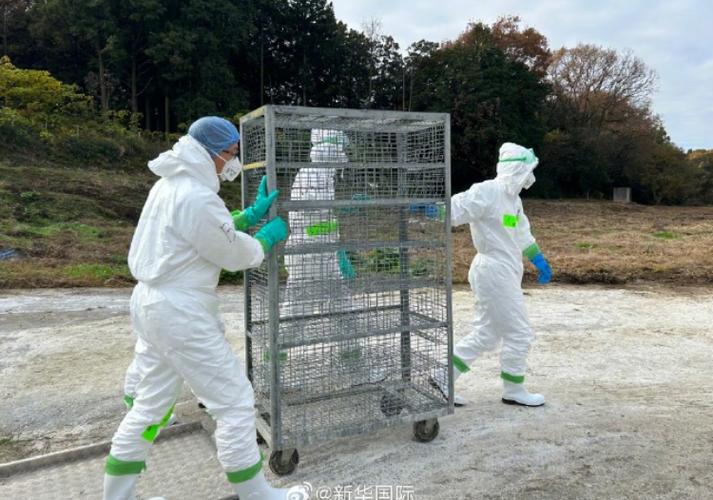 strain county疫情最新动态