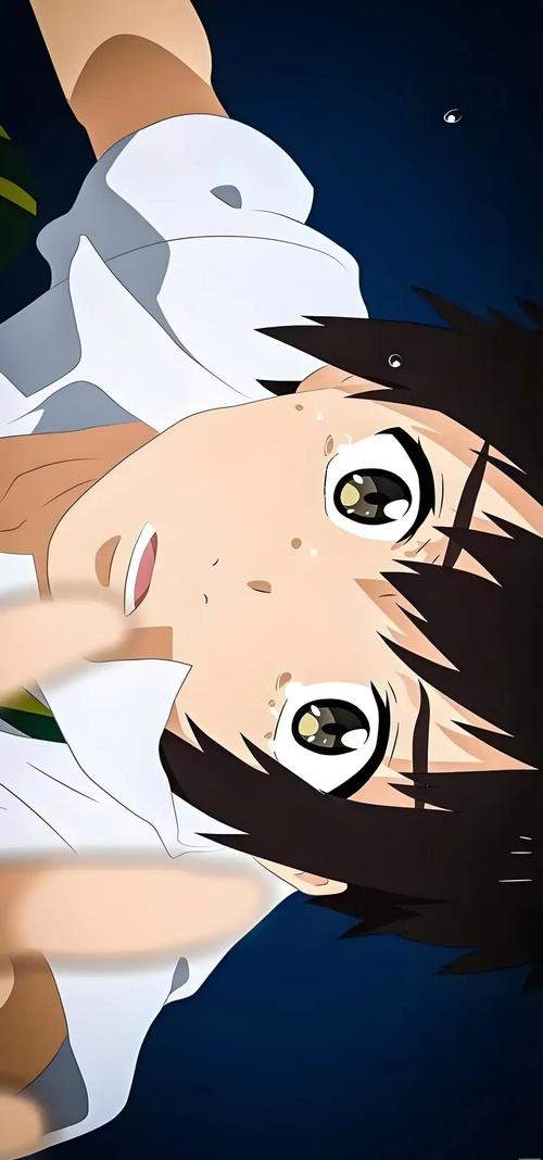 投稿人，你的名字]