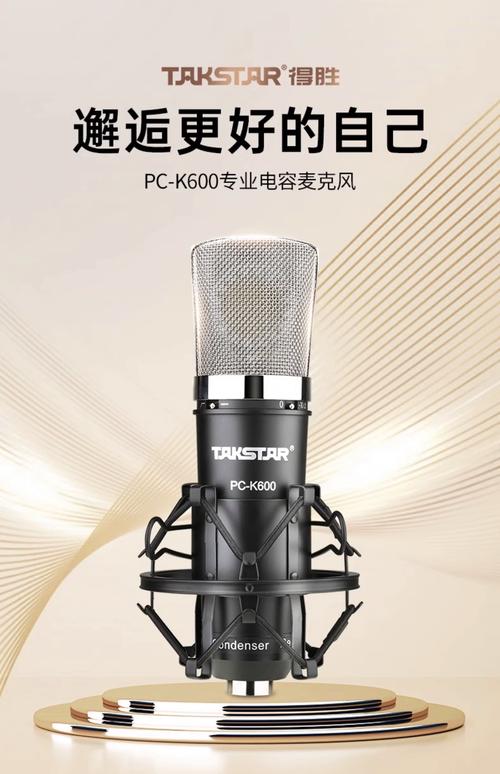 得胜电脑麦克风，专业级音效 perfection者