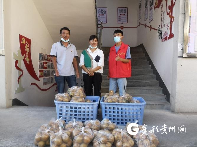 龙里疫情最新消息，疫情防控的最新进展