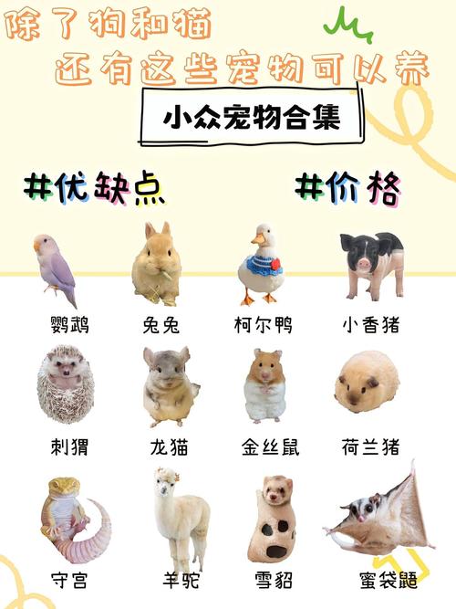 让电脑成为你的宠物，组装指南