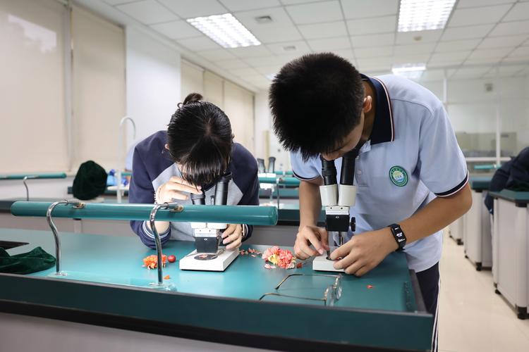 东营九洲科技网络,互联网企业,技术领先,未来无限可能