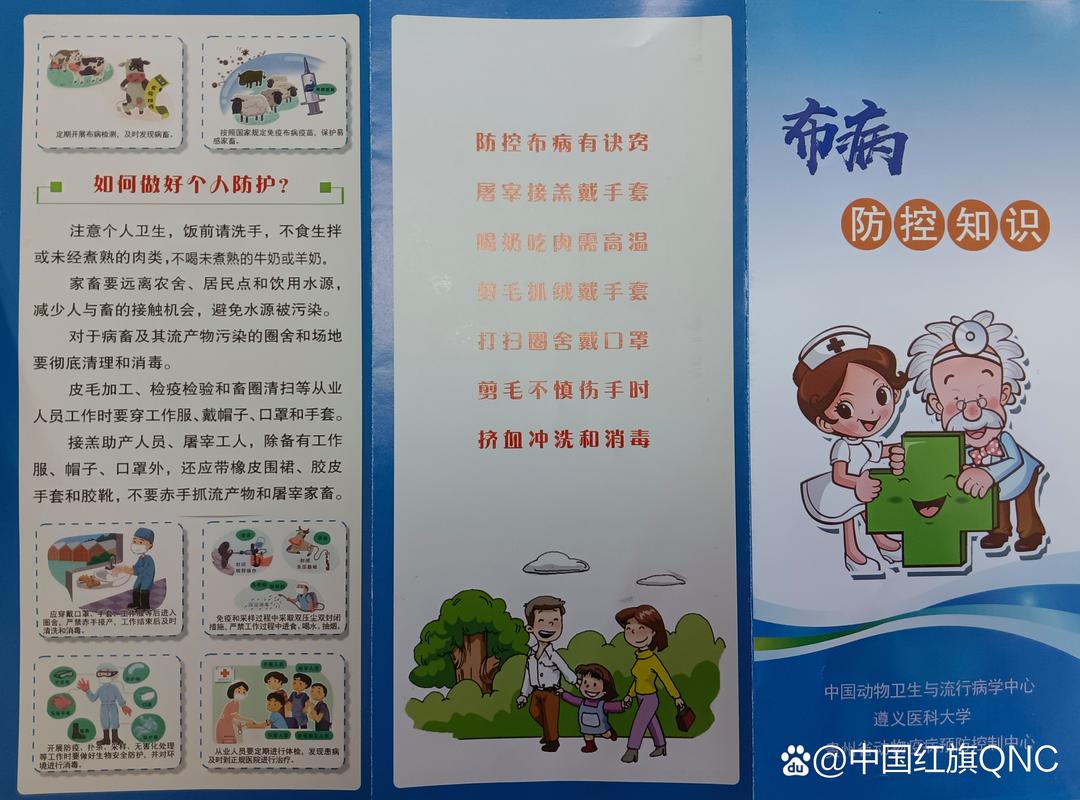 广西德尔疫情最新消息，防控指南与实用建议