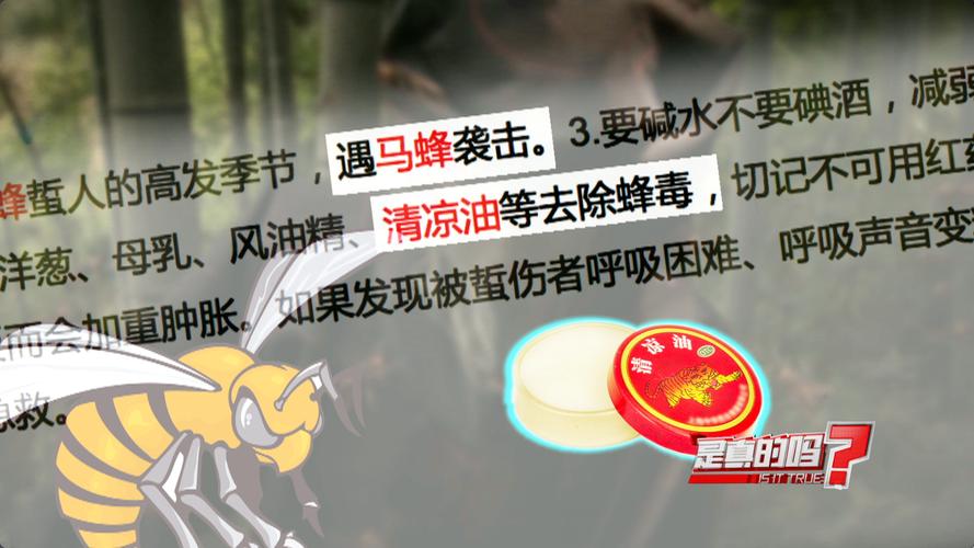 如何科学生活，樟脑油的健康教育指南