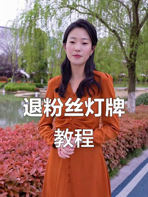 抖音粉丝业务的重要性,如何在Numbers世界中脱颖而出