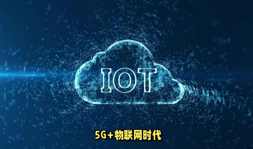 阳光区网络公司，万物互联的未来