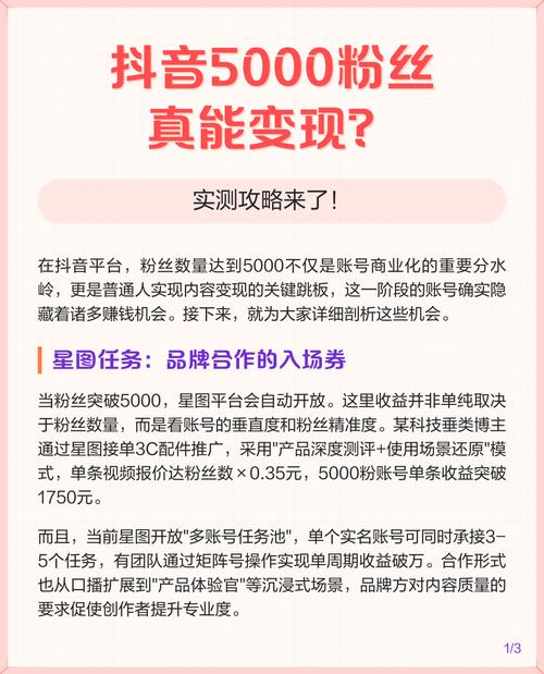 抖音粉丝代平台，成功获取粉丝的指南与策略