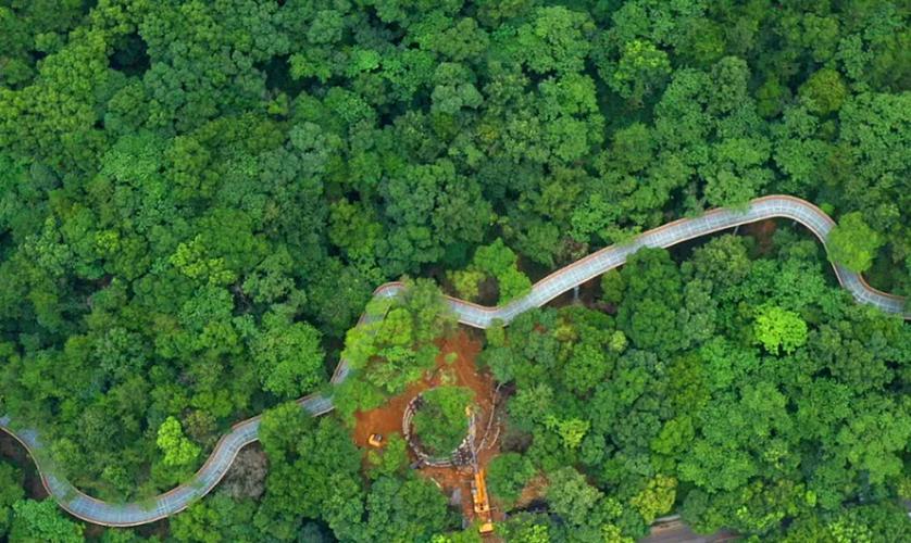 吉林磨盘山疫情防控最新消息，疫情低温化，防控措施更严更细