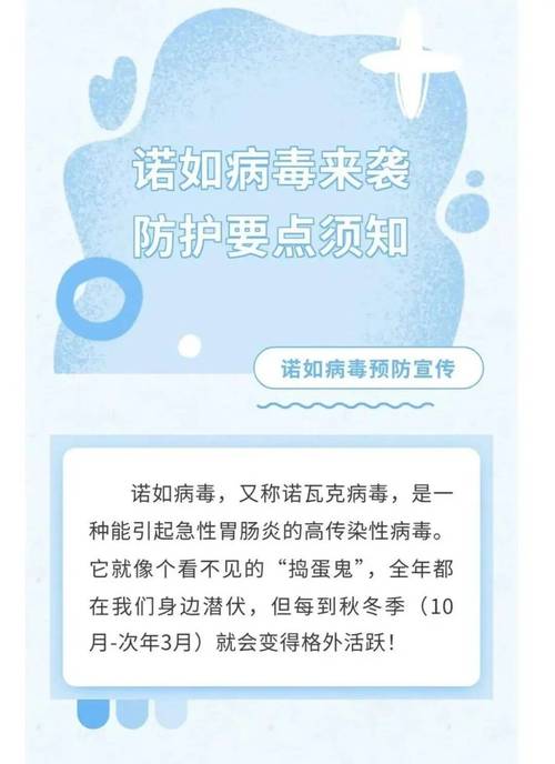 红安疫情最新动态，防控措施与应对策略探析
