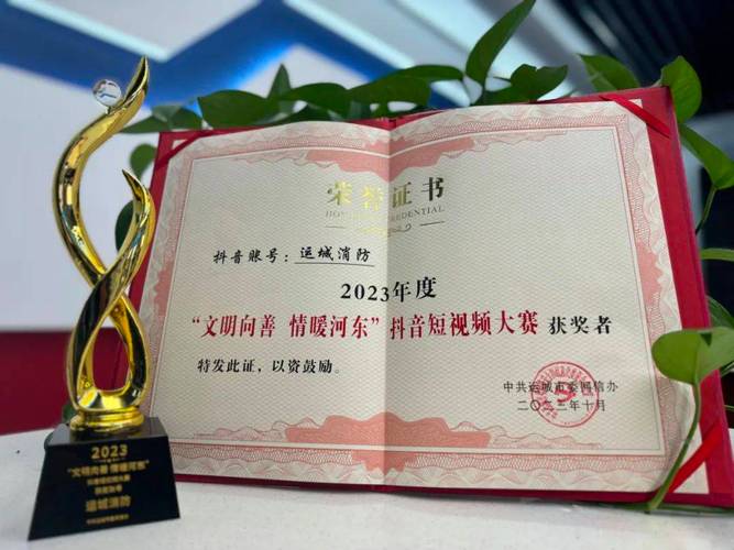 抖音秒刷炮台与24小时自助，如何在抖音中脱颖而出