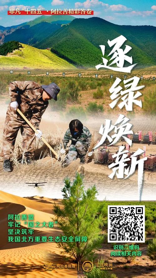 一、阿拉善的网络发展背景