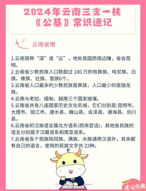 云南网络商城,你需要的1792字指南