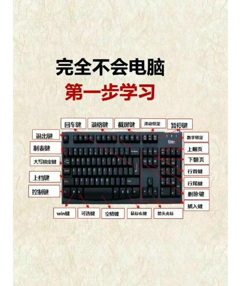 电脑技术学习，从基础到进阶，你的技术能力将如何提升？