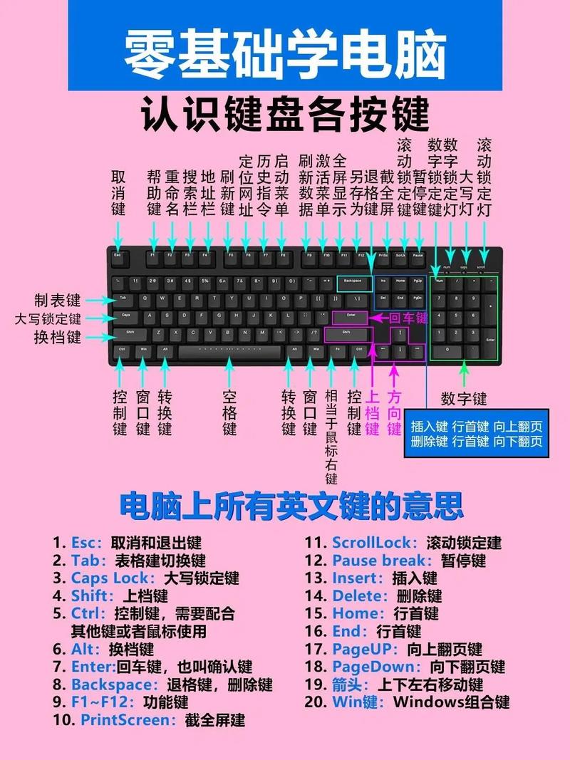 键盘布局，卡片式电脑的机理与设计启示