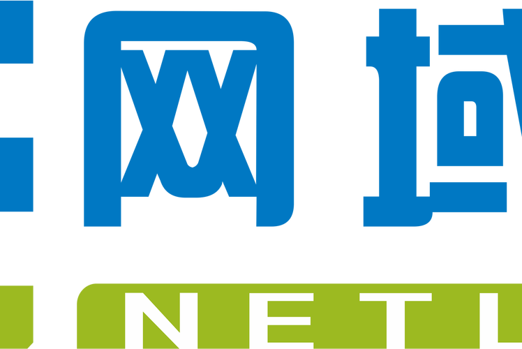 上海网络公司，专业助力你的网络事业