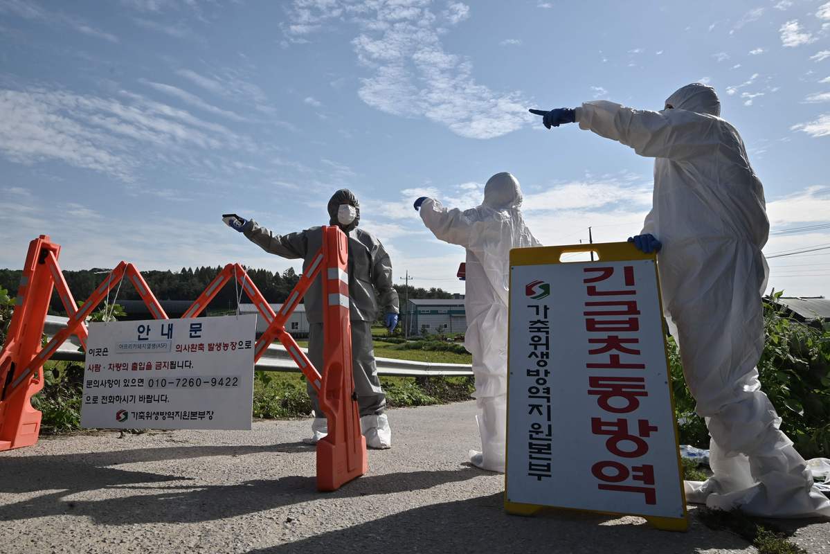 韩国甘棠茶厂遭遇最新疫情信息