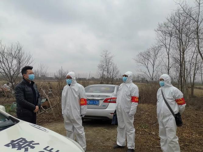 仙桃罗家疫情最新消息