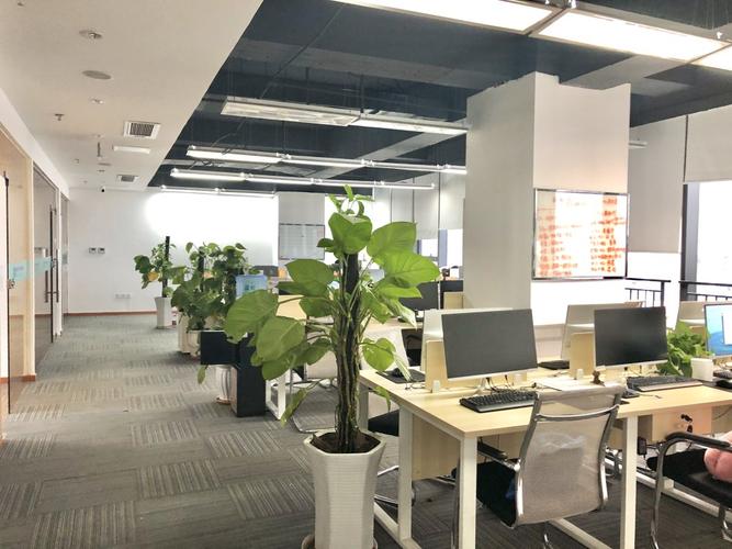 成都的网络公司有哪些？你可能不知道这些大牛都在这里