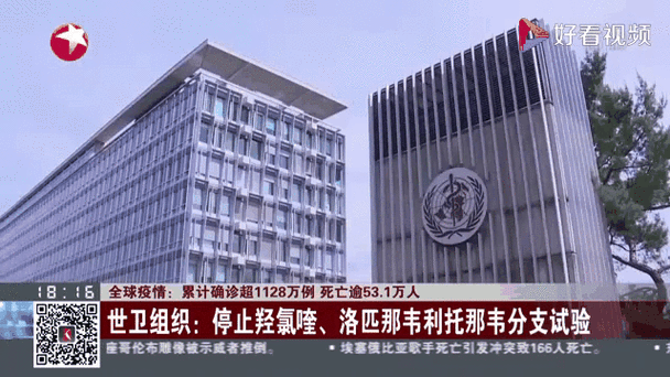 嫩尘疫情最新消息通知，解读全球疫情最新动态