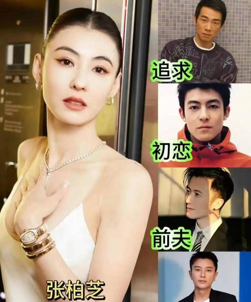 电脑事件,陈冠希与张柏芝的关系