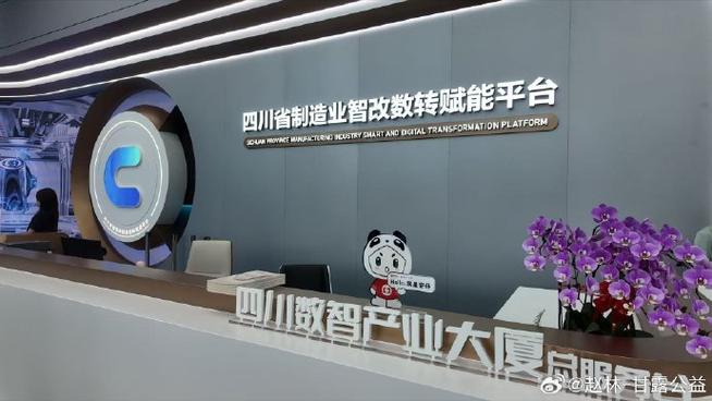 成都官网营销总部,一场精准的精准营销,助力大城市的互联网崛起