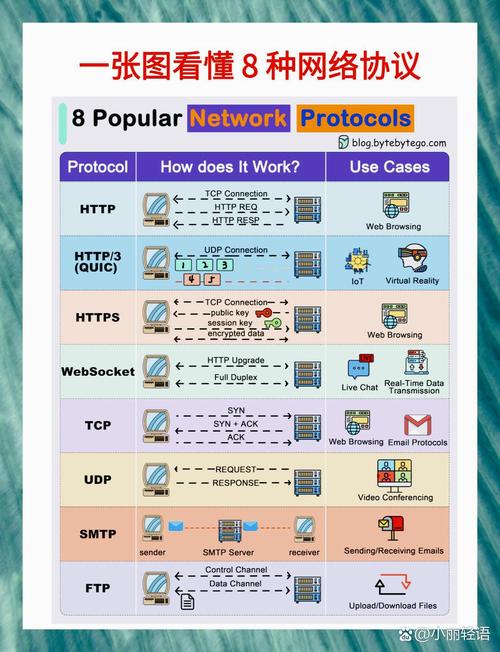 双网络管理，保障您的单机主机安全与效率的详细指南