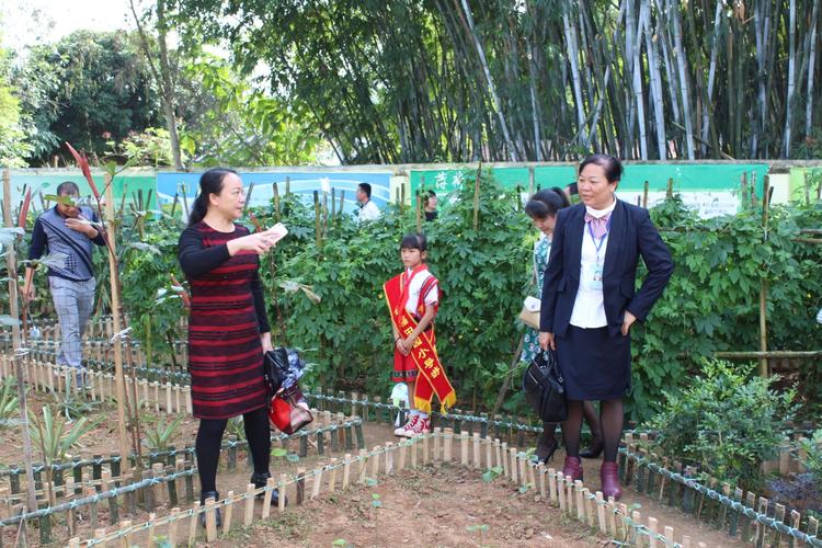 五指山网络推广,高效内容制作的必修课