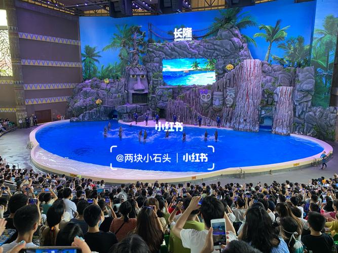 横琴湾疫情最新消息来了!你都关心什么?