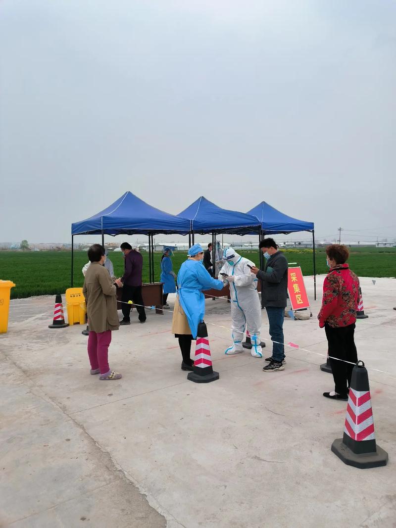 利辛疫情最新消息，防控措施与居民生活的平衡