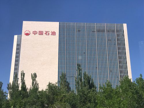 克拉玛依网络公司,数字时代的安身之本