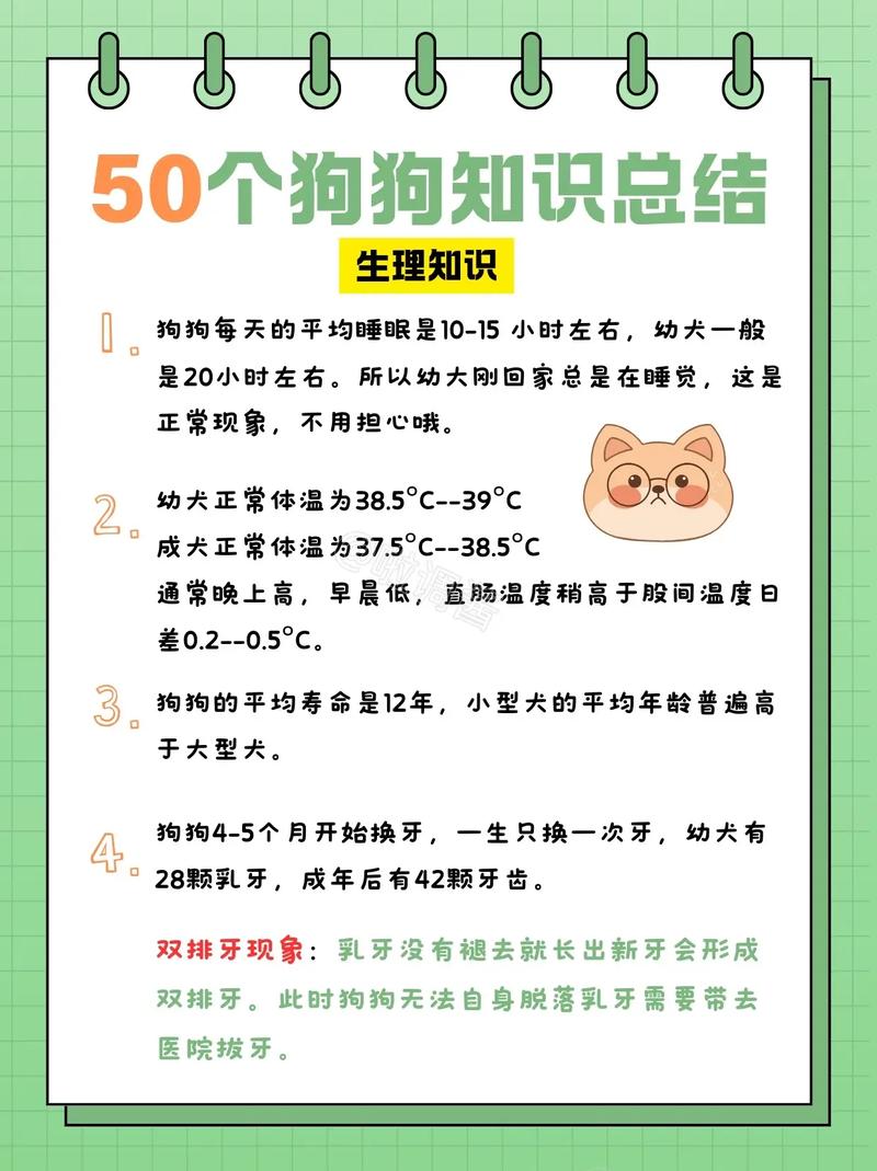 了解狗狗，开启宠物生活的新篇章