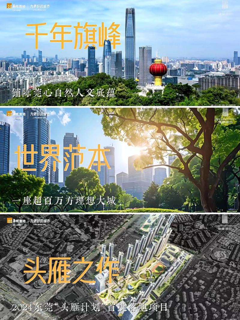 东莞市首营销指南，助力行业发展