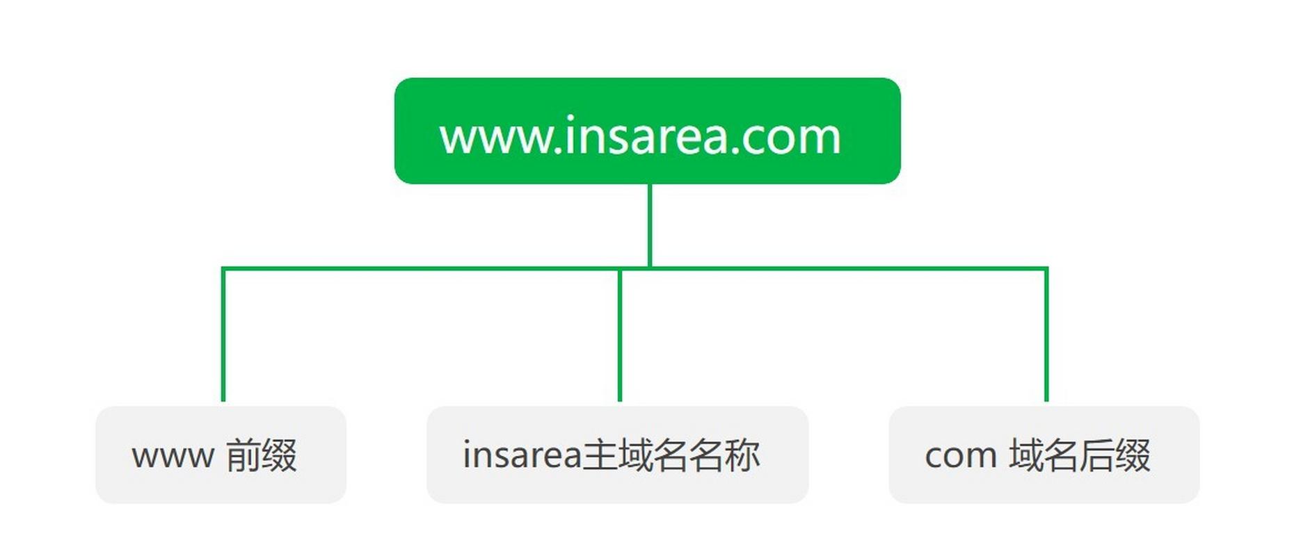 什么是域名？它为何成为现代网络的核心？