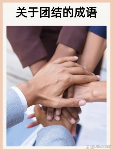 建站路上，团结更关键，风雨同舟，共同成长