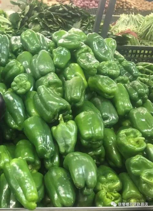 赵县疫情餐饮最新消息