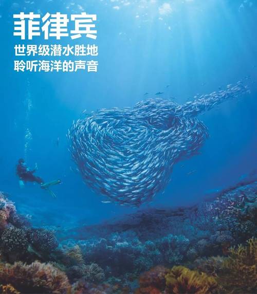 菲律宾网络推广指南，从入门到巅峰